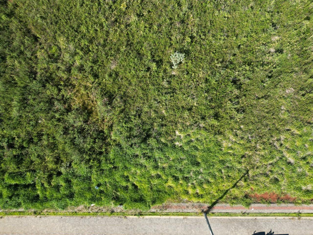 Terreno à venda com 910m² no Água Santa em Chapecó - Foto 4