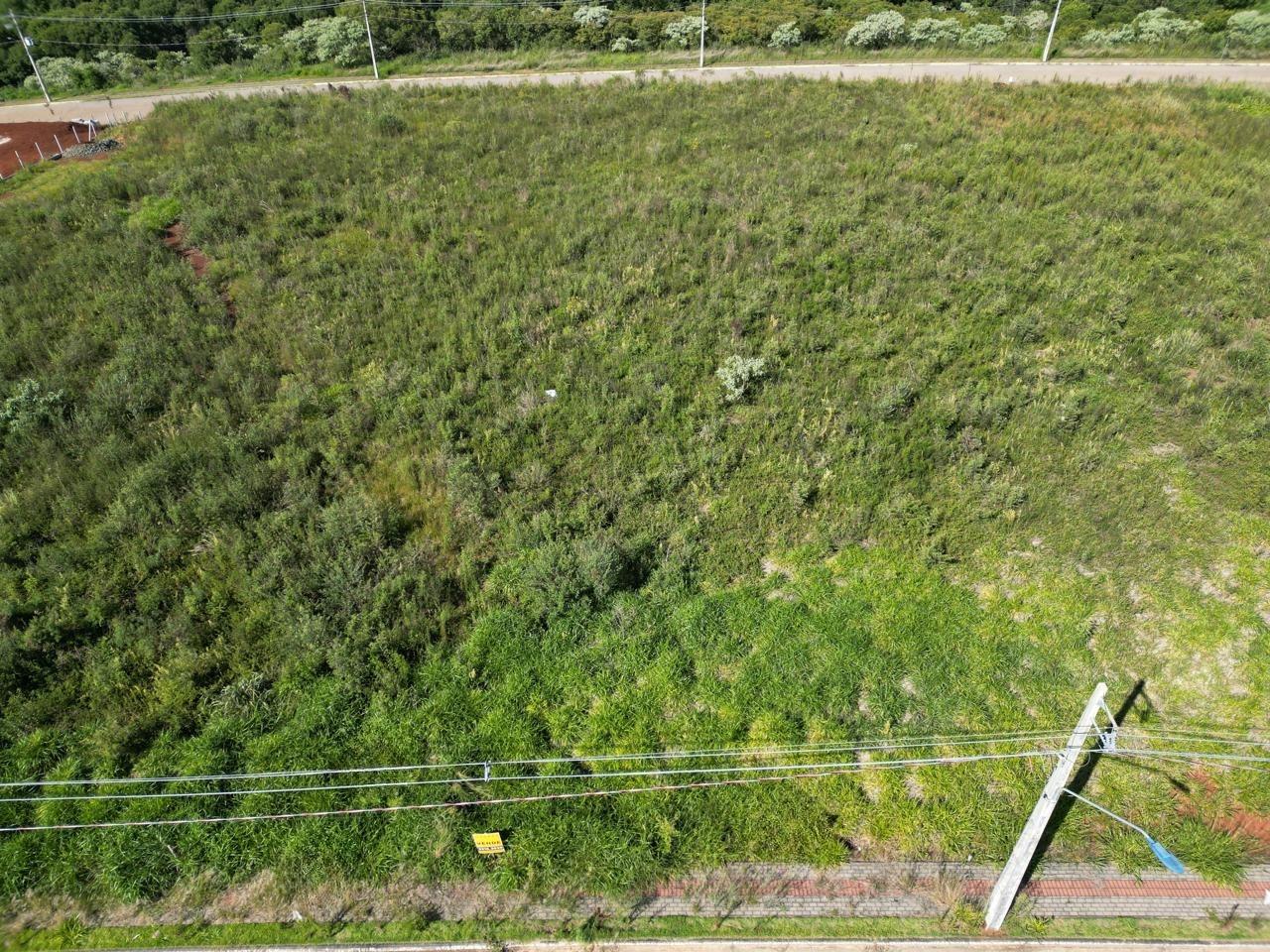 Terreno à venda com 910m² no Água Santa em Chapecó - Foto 5