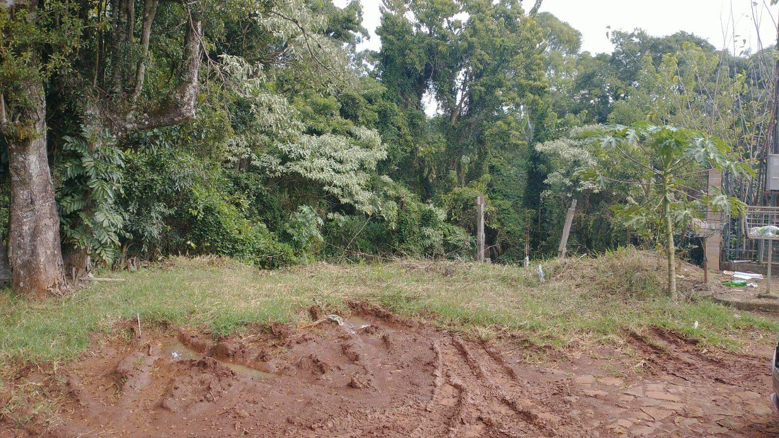 Terreno à venda com 382m² no Seminário em Chapecó - Foto 4
