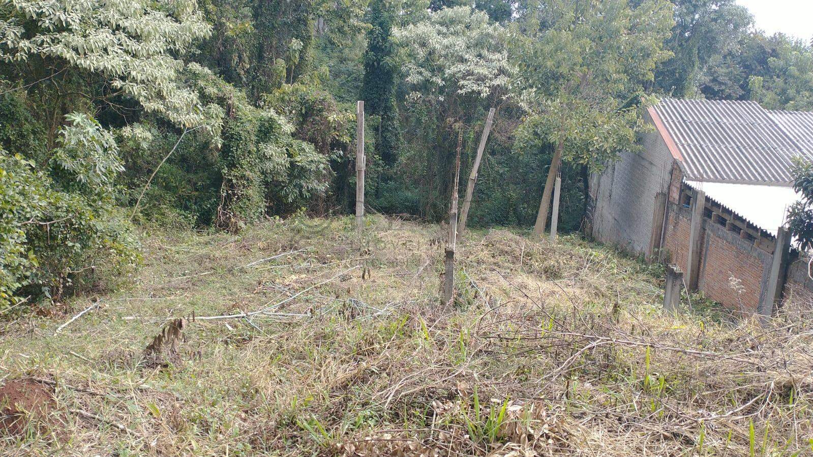 Terreno à venda com 382m² no Seminário em Chapecó - Foto 1