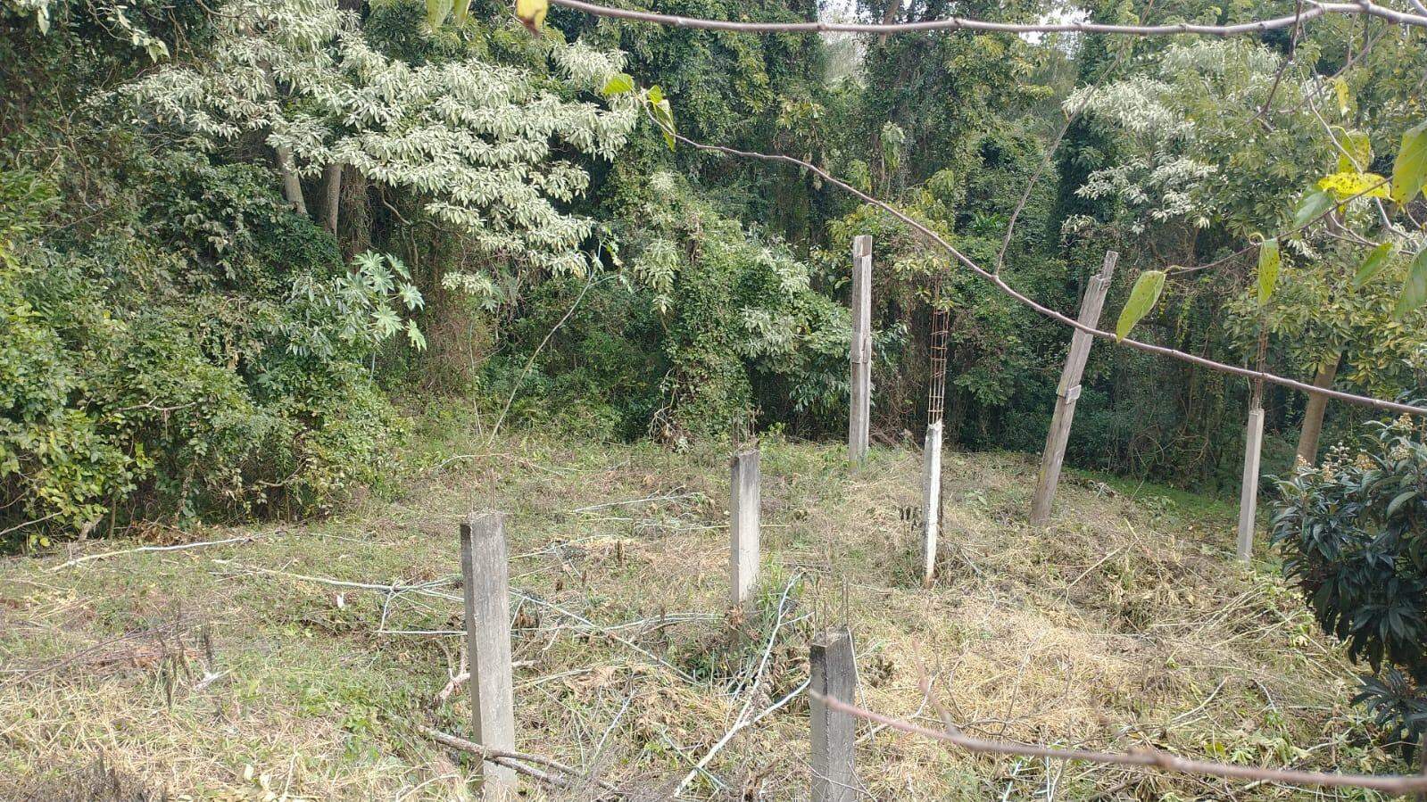 Terreno à venda com 382m² no Seminário em Chapecó - Foto 2