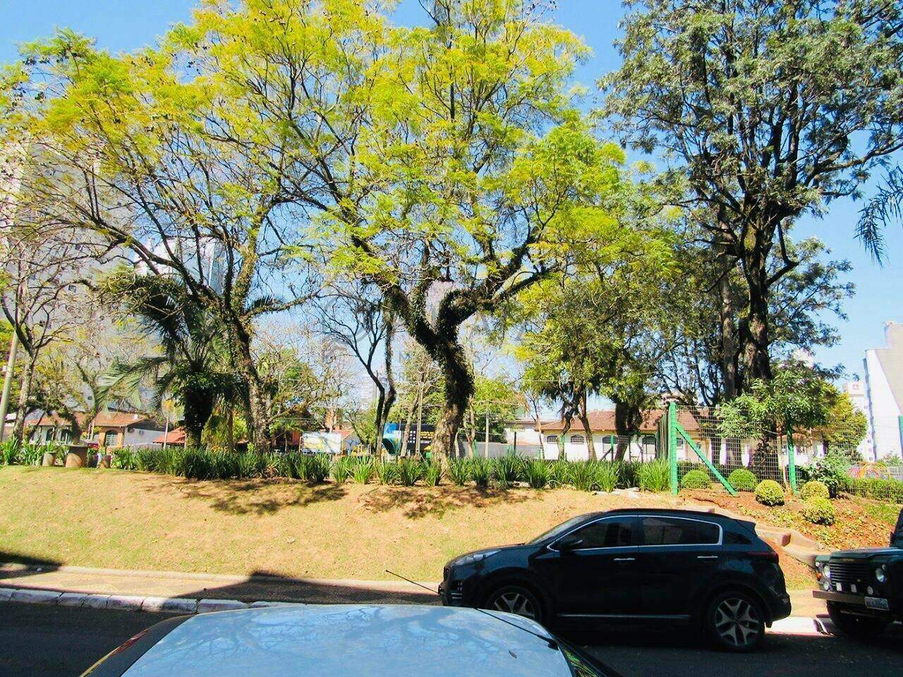 3642 – Foto 11