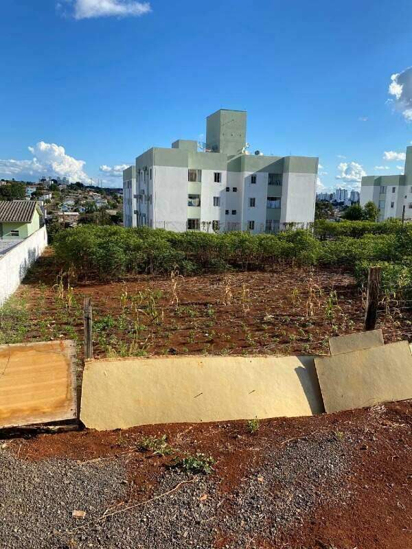 3783 – Foto 3