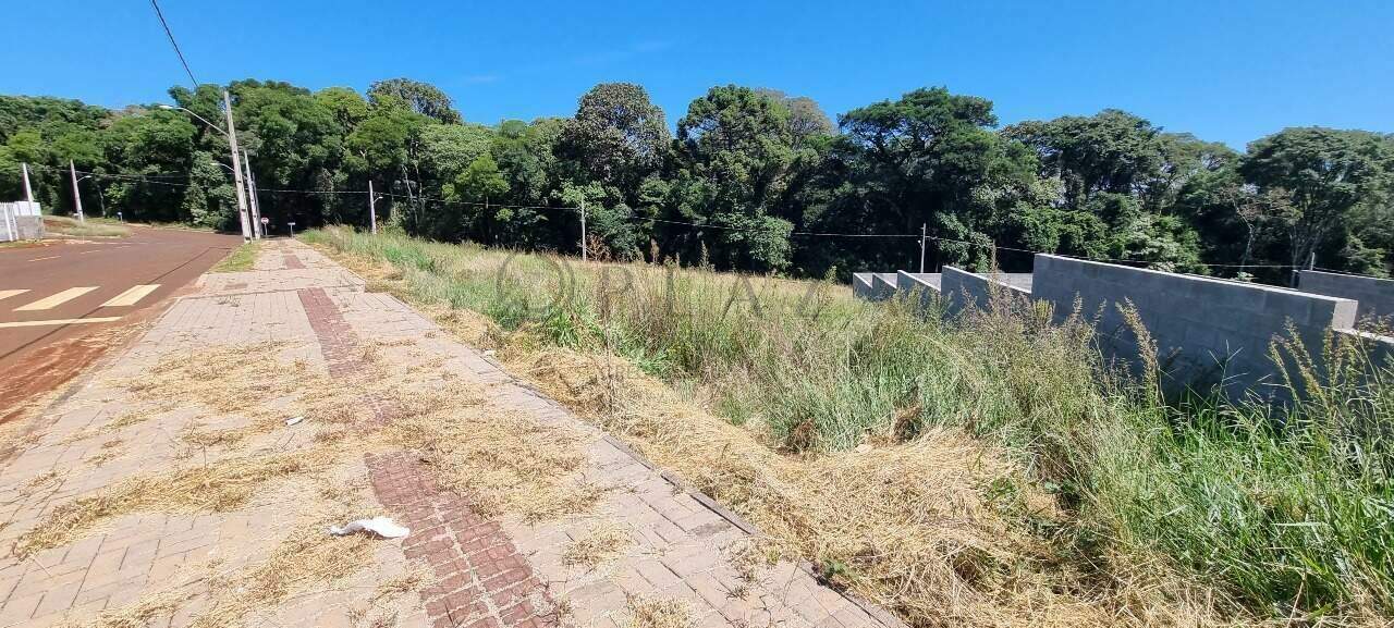 Terreno à venda com 475m² no Jardim Europa em Chapecó - Foto 4