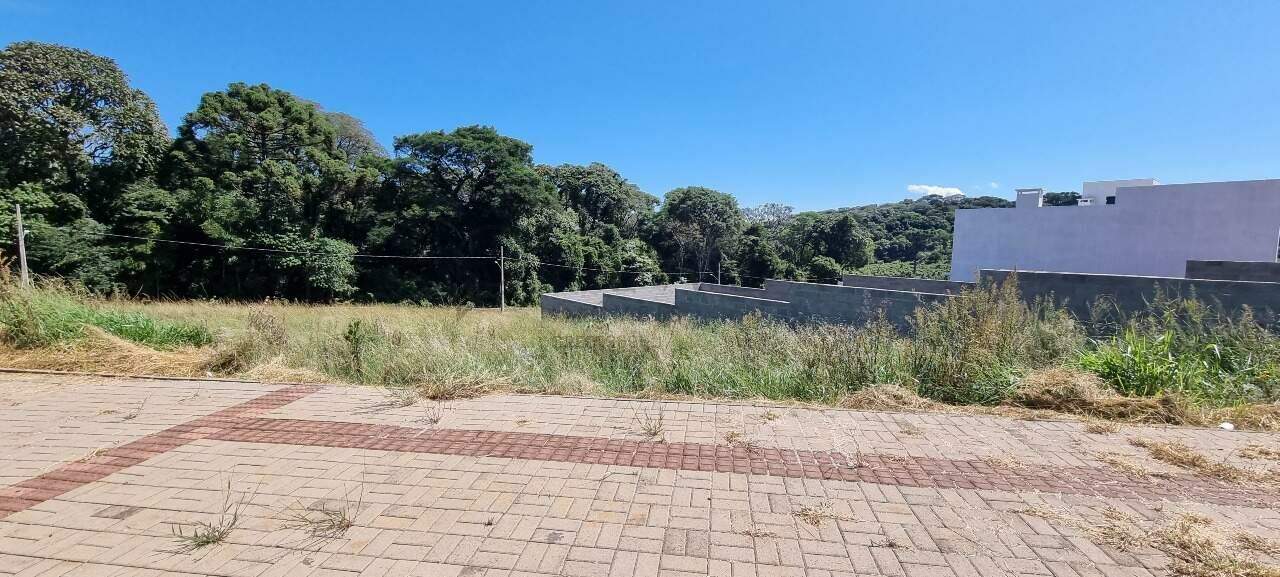 Terreno à venda com 475m² no Jardim Europa em Chapecó - Foto 3