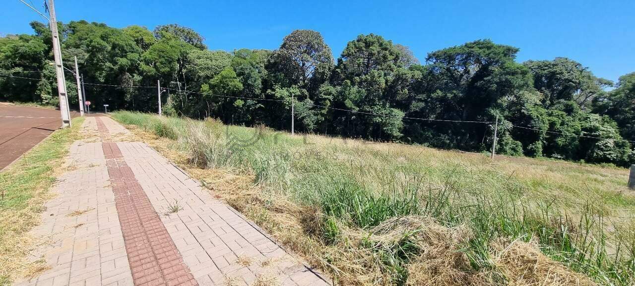 Terreno à venda com 475m² no Jardim Europa em Chapecó - Foto 1