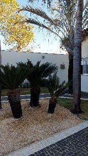 Casa à venda no Plano Diretor Sul: 