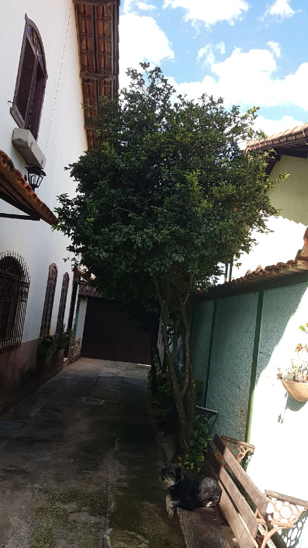 Casa à venda com 4 quartos, 250m² - Foto 14