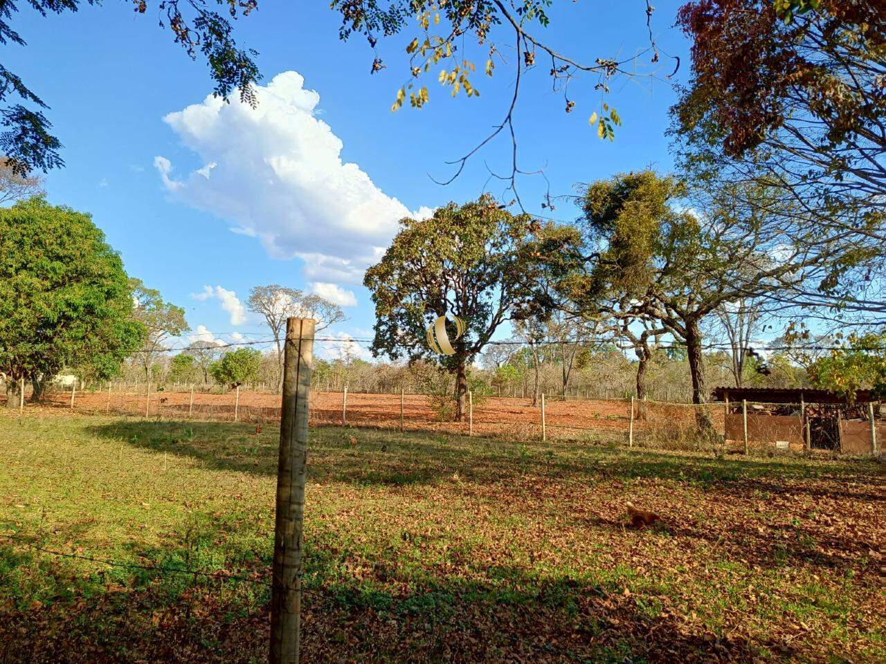 Chácara à venda com 5 quartos, 20000m² - Foto 11