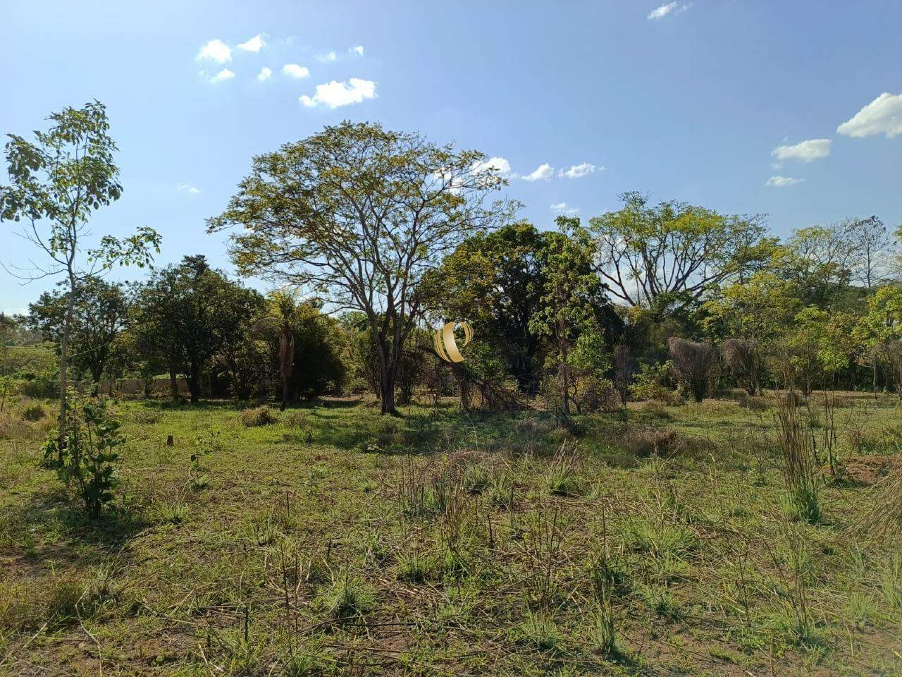 Chácara à venda com 1 quarto, 45000m² - Foto 5