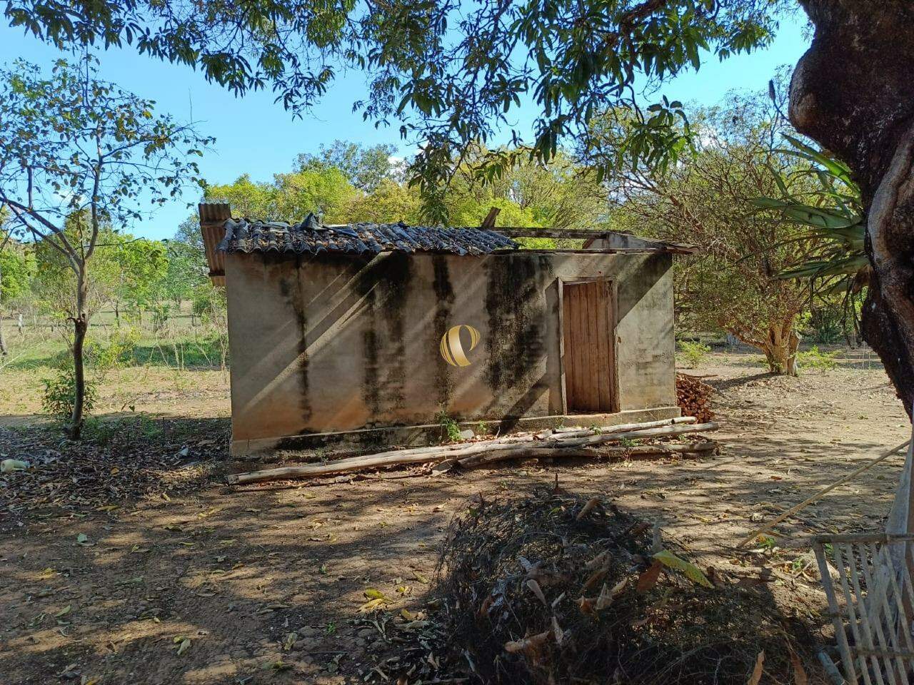 Chácara à venda com 1 quarto, 45000m² - Foto 19