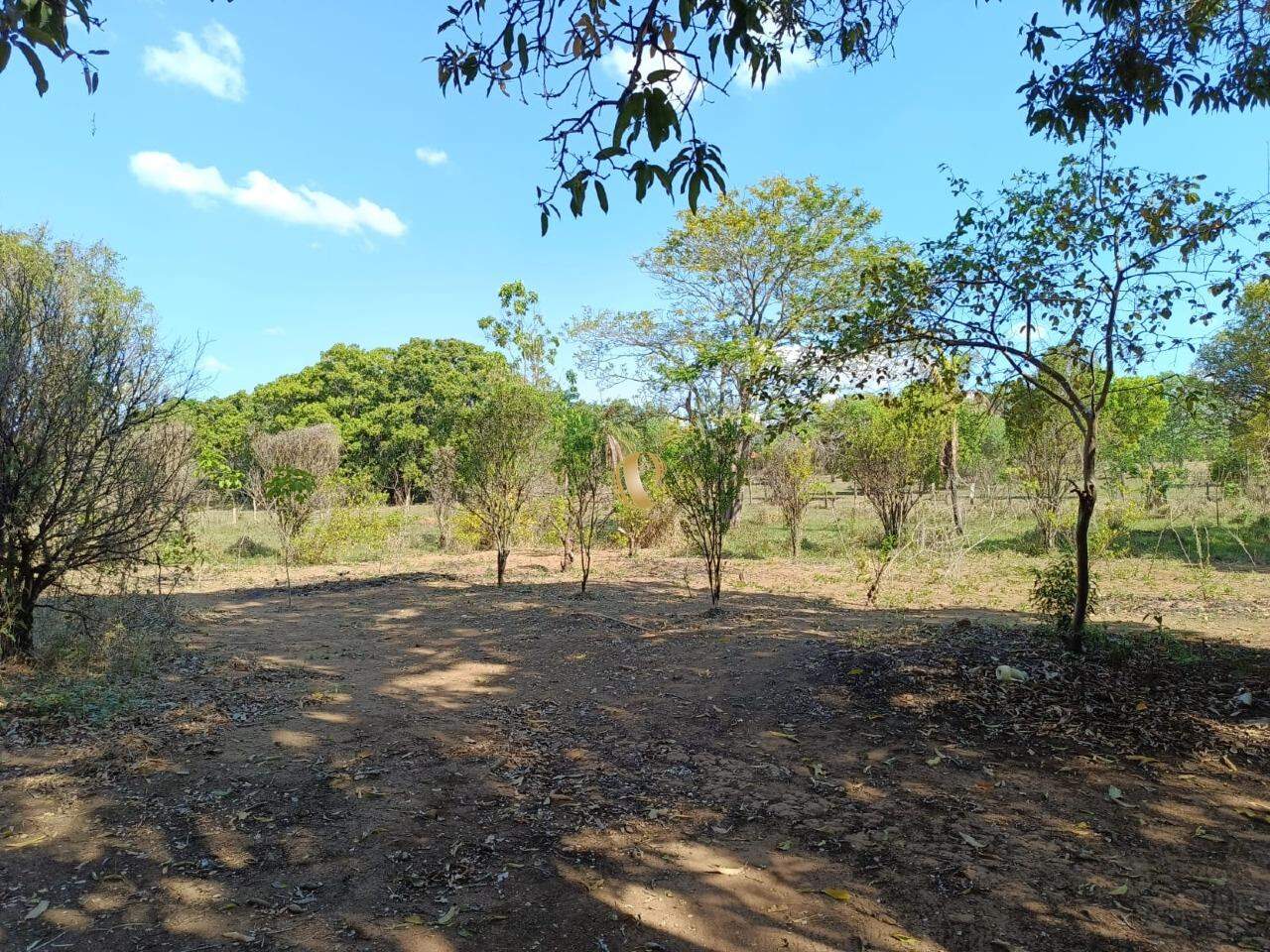 Chácara à venda com 1 quarto, 45000m² - Foto 22