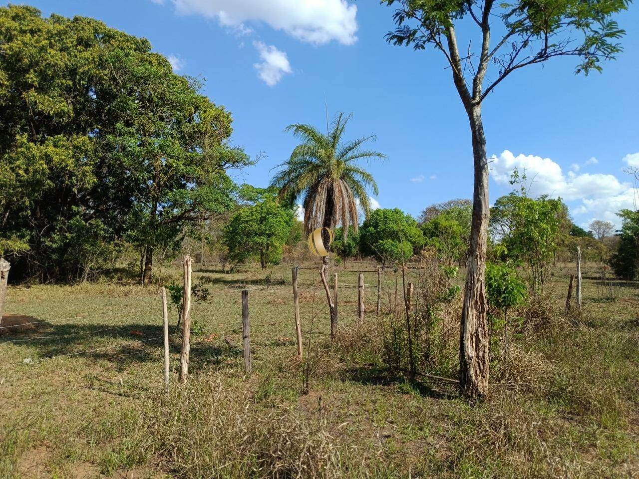 Chácara à venda com 1 quarto, 45000m² - Foto 10