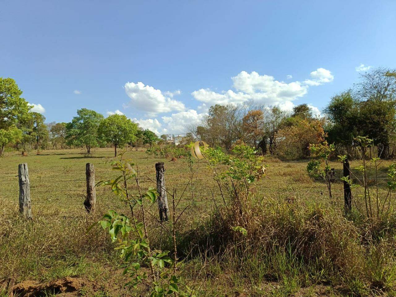 Chácara à venda com 1 quarto, 45000m² - Foto 13