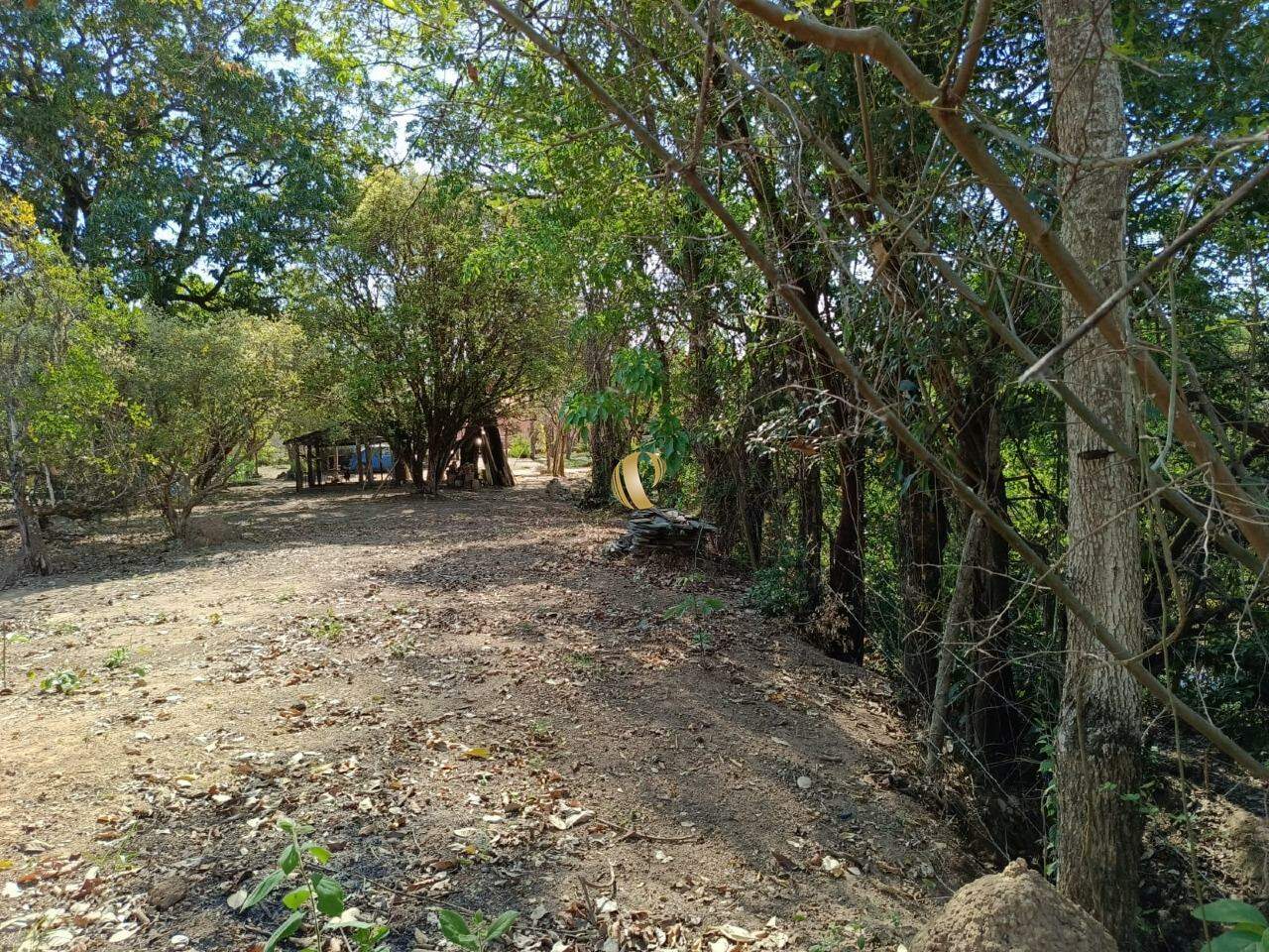 Chácara, 1 quarto, 5 hectares - Foto 4