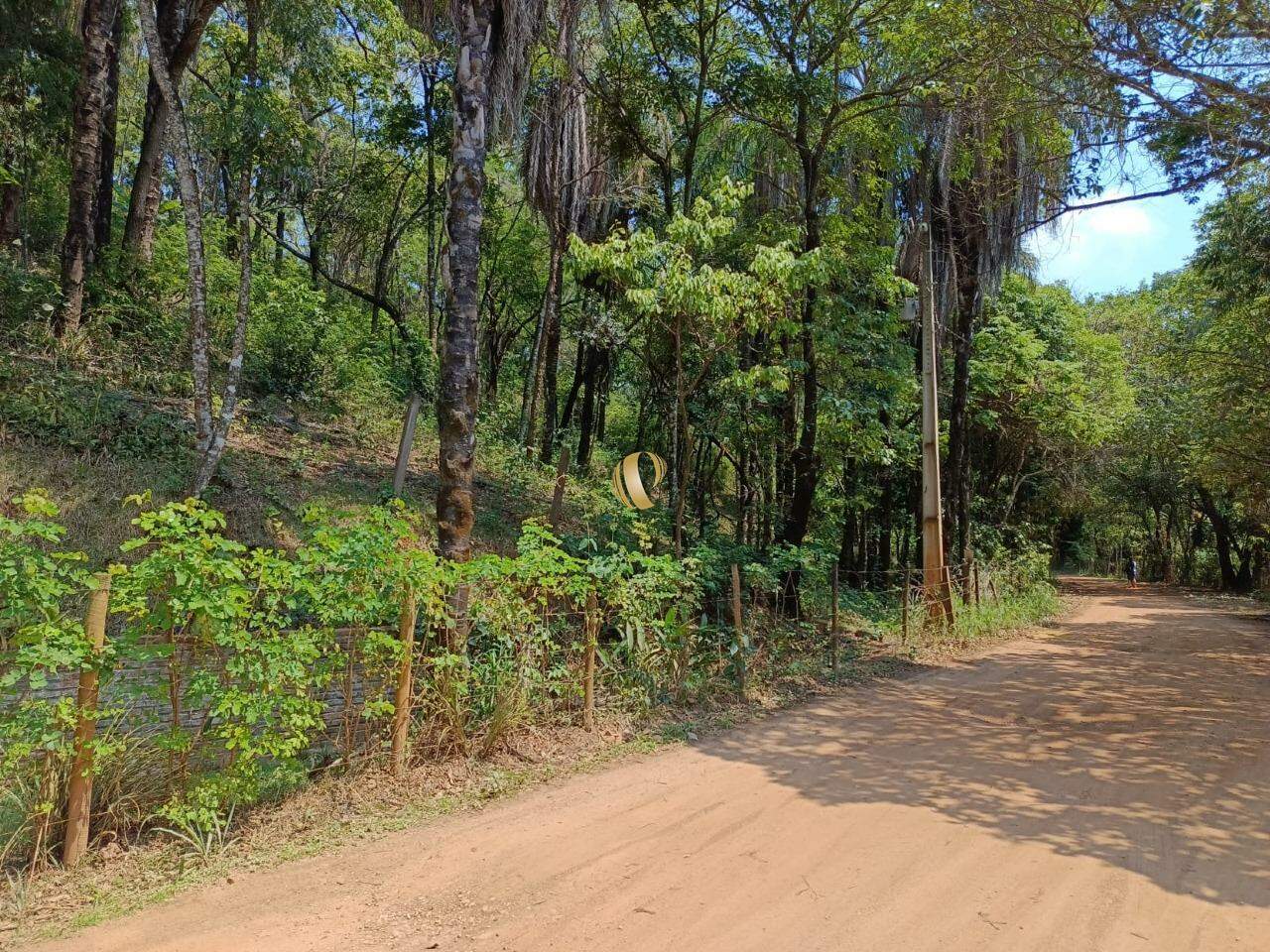 Chácara à venda com 1 quarto, 50000m² - Foto 6