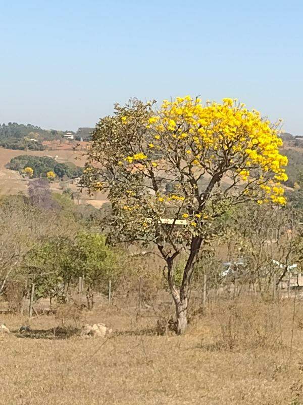 Chácara à venda com 3 quartos, 20720m² - Foto 14