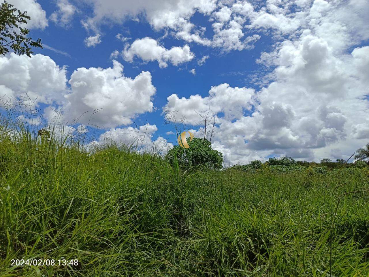 Chácara à venda com 1 quarto, 340000m² - Foto 6