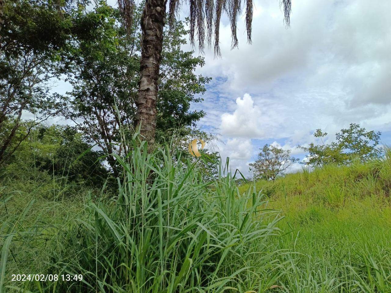 Chácara, 1 quarto, 34 hectares - Foto 3