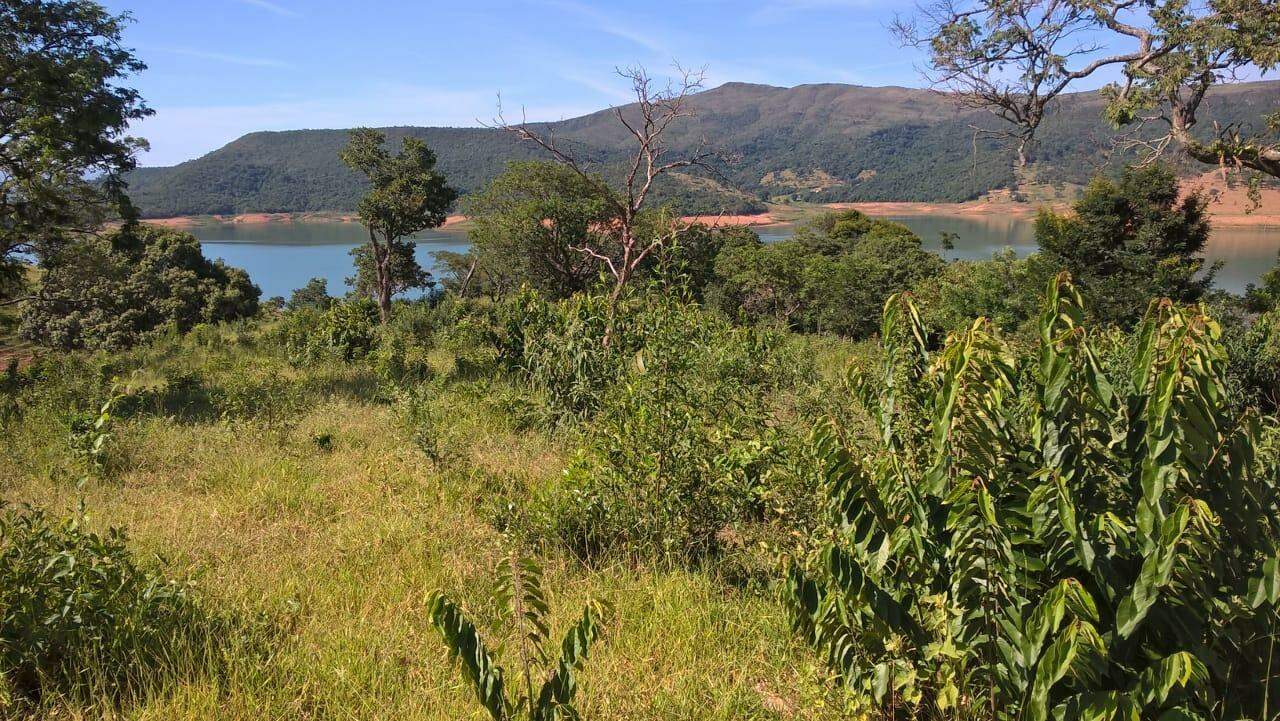 Chácara à venda com 1 quarto, 60000m² - Foto 8