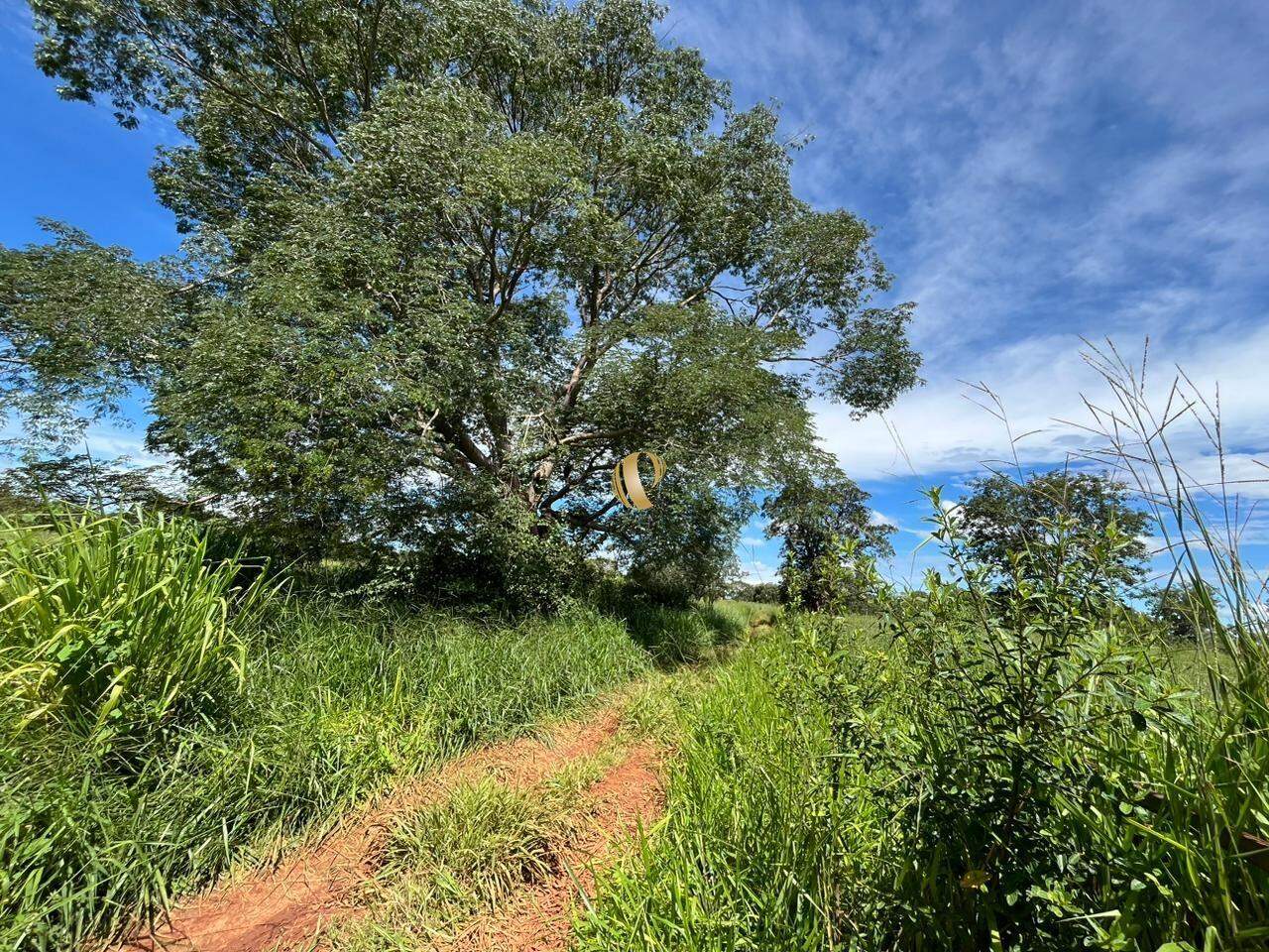 Terreno à venda, 50000m² - Foto 2