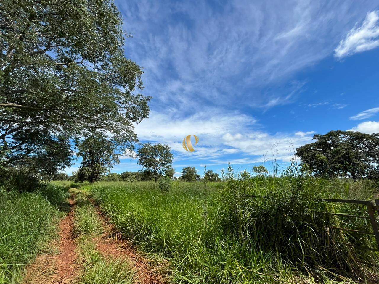 Terreno à venda, 50000m² - Foto 1