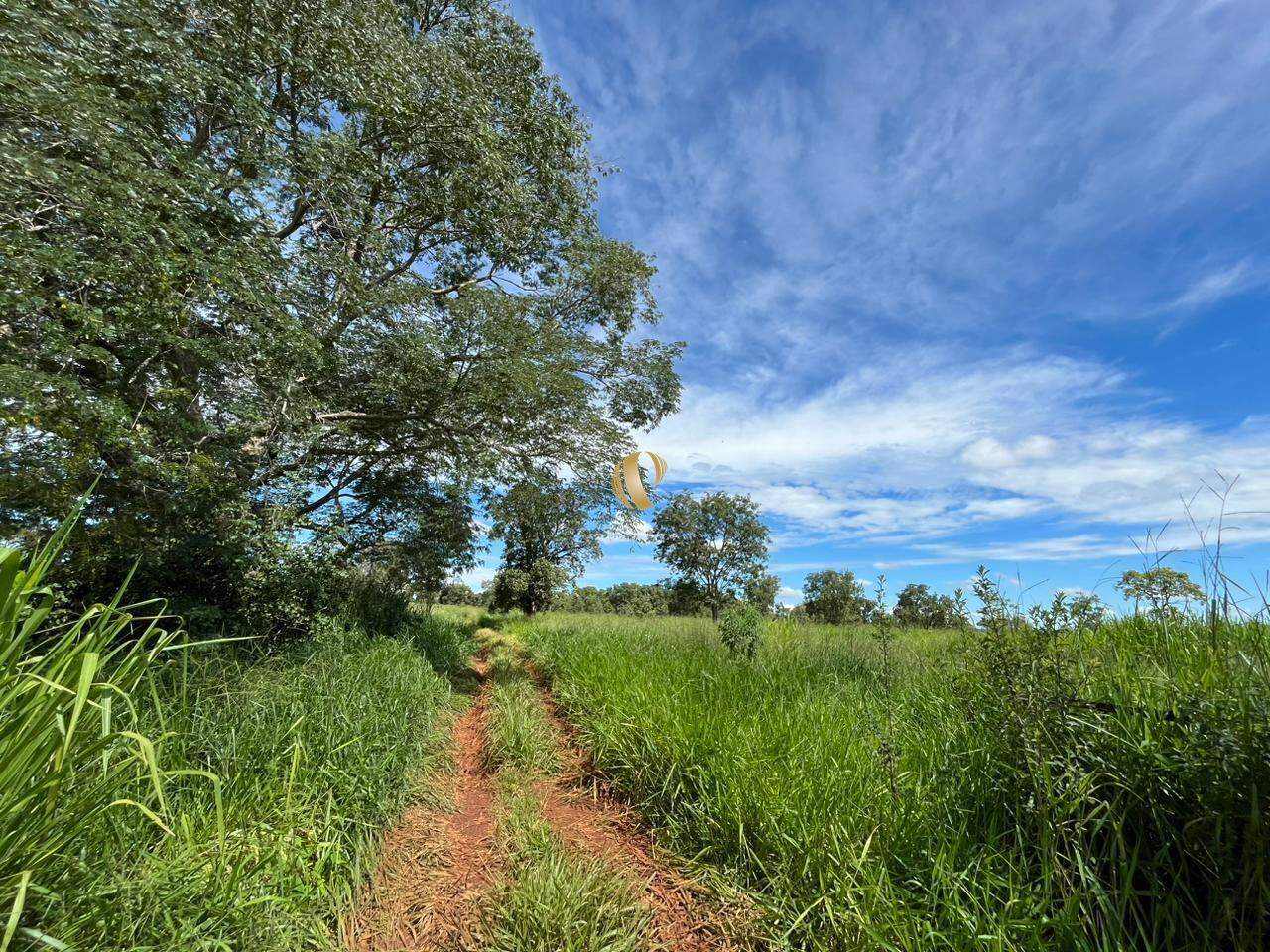 Terreno à venda, 50000m² - Foto 3