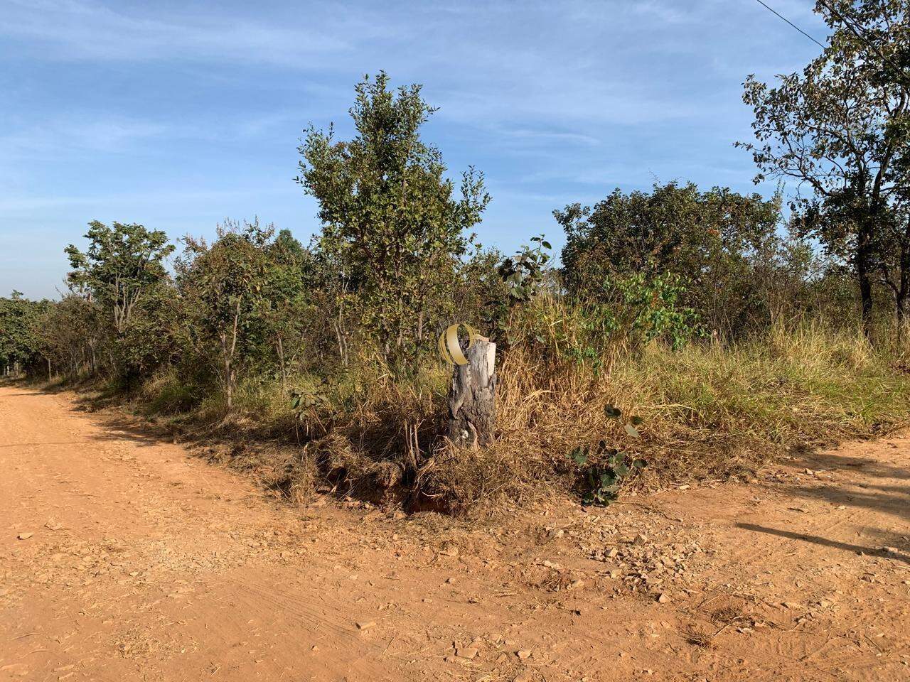 Terreno à venda, 5000m² - Foto 1