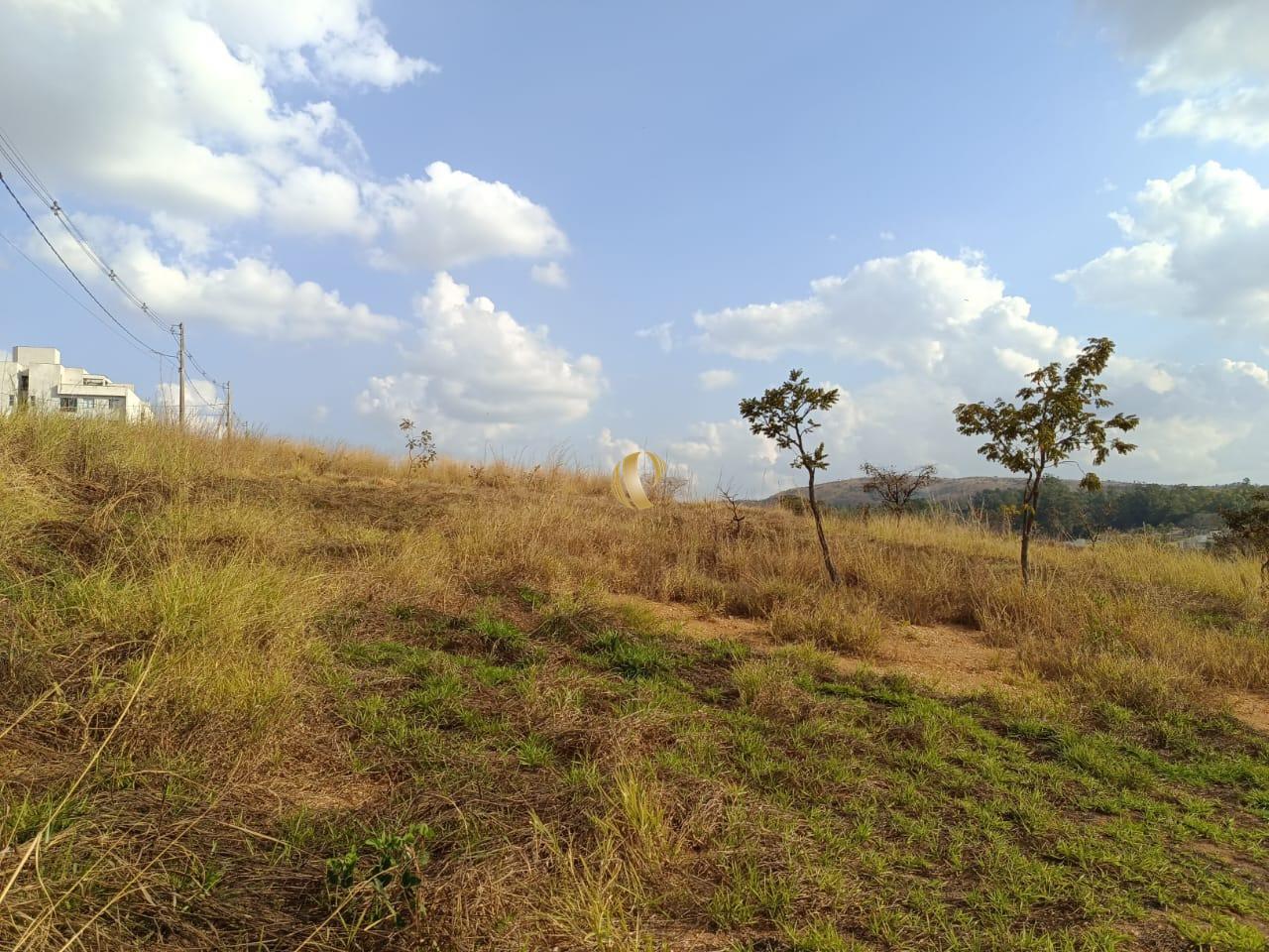 Terreno, 1000 m² - Foto 5