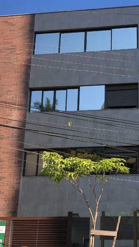 Apartamento, 3 quartos, 84 m² - Foto 2