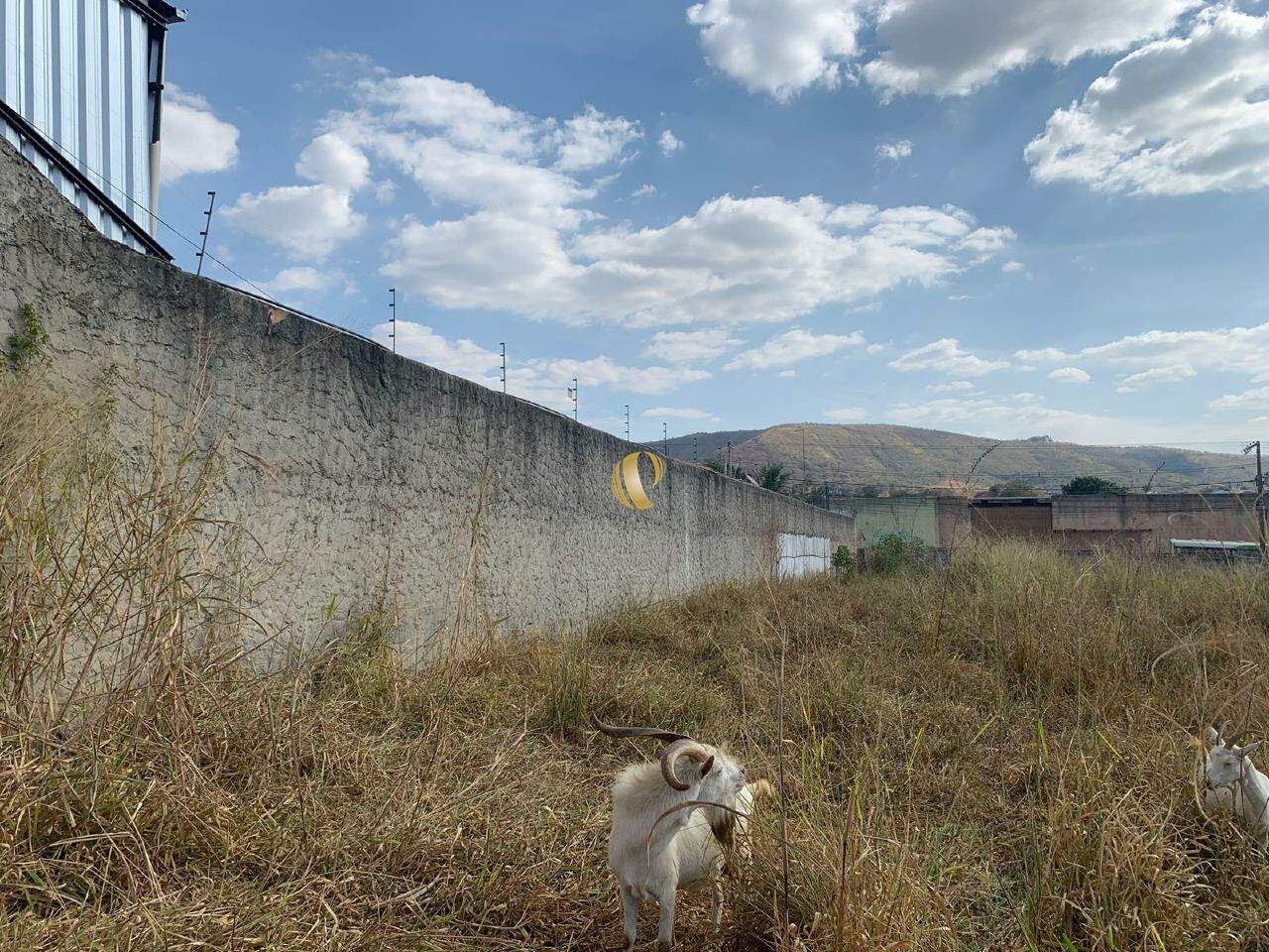 Terreno à venda, 3300m² - Foto 7