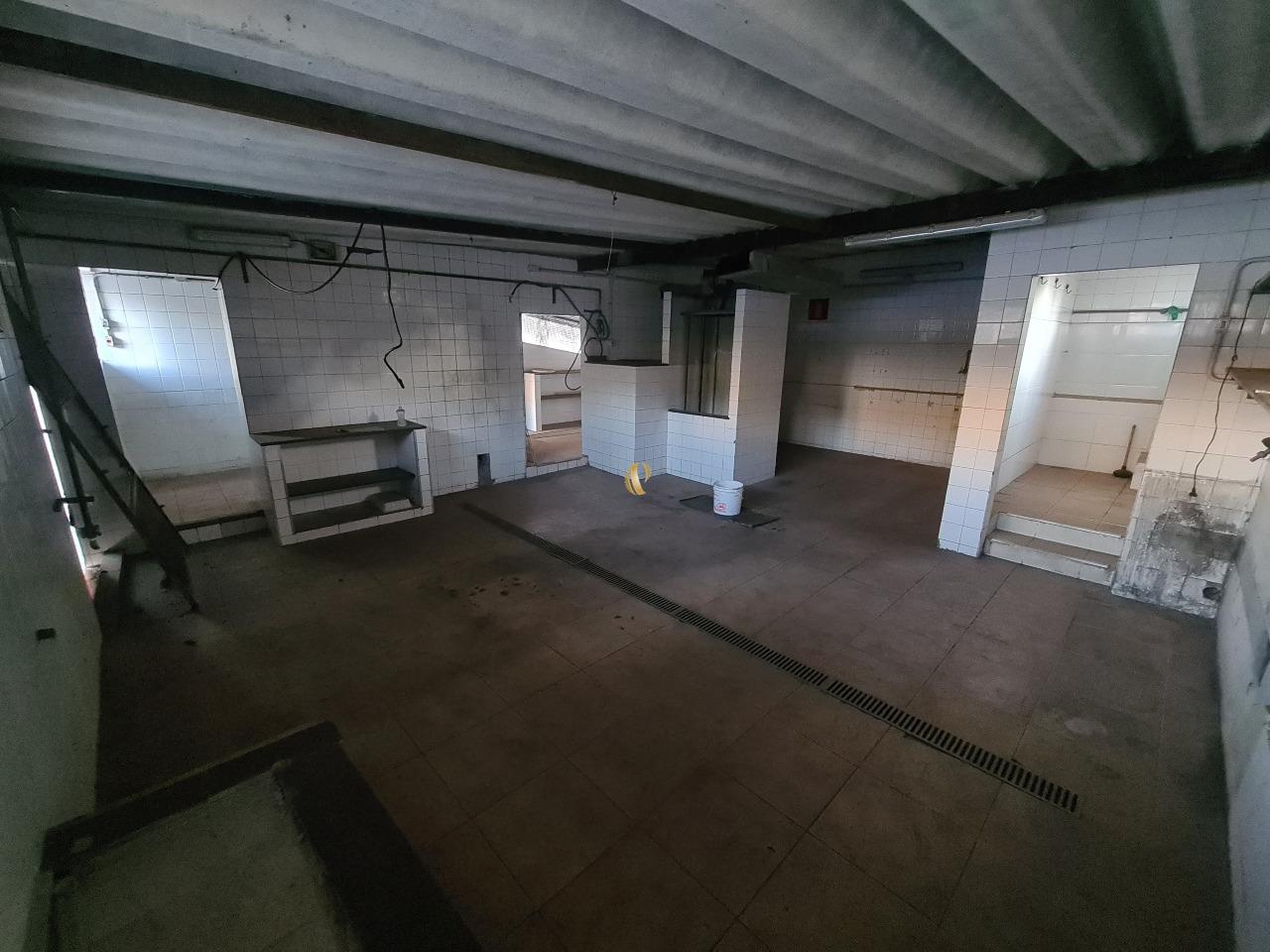 Casa, 4 quartos, 425 m² - Foto 20