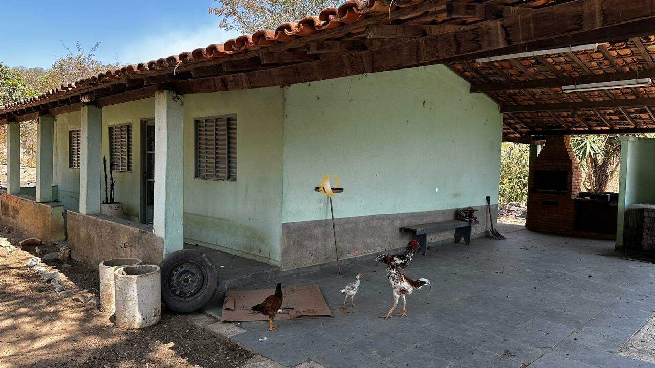 Chácara à venda com 3 quartos, 10700m² - Foto 6