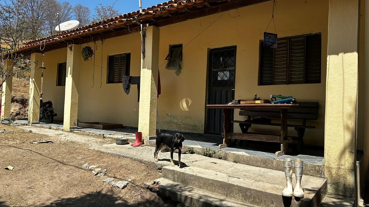 Chácara à venda com 3 quartos, 10700m² - Foto 15