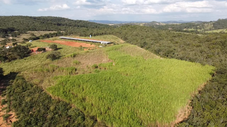 Chácara à venda com 2 quartos, 80000m² - Foto 22