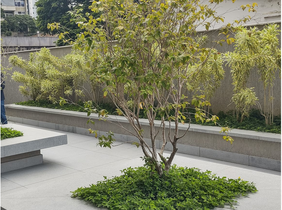 Apartamento, 4 quartos, 150 m² - Foto 4