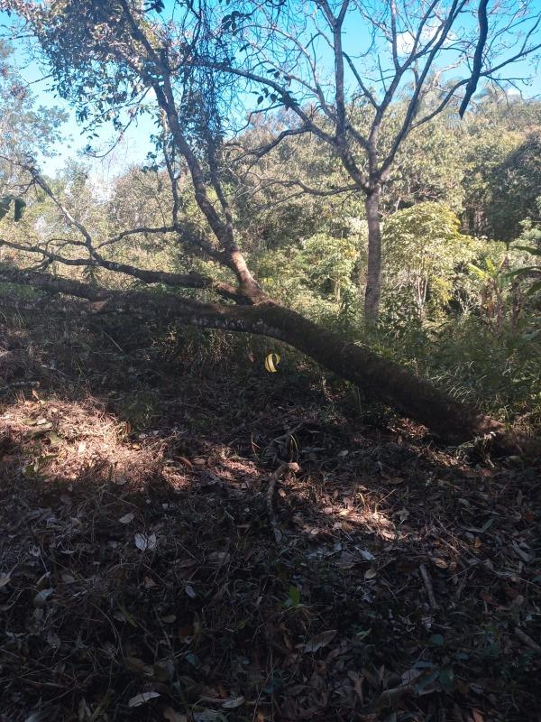 Chácara, 1 quarto, 3826 m² - Foto 22