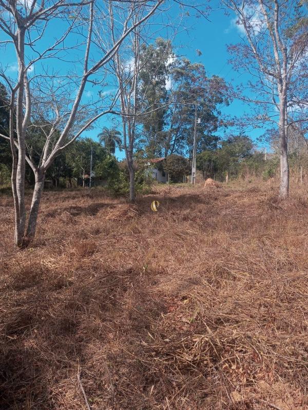 Chácara, 1 quarto, 3826 m² - Foto 24