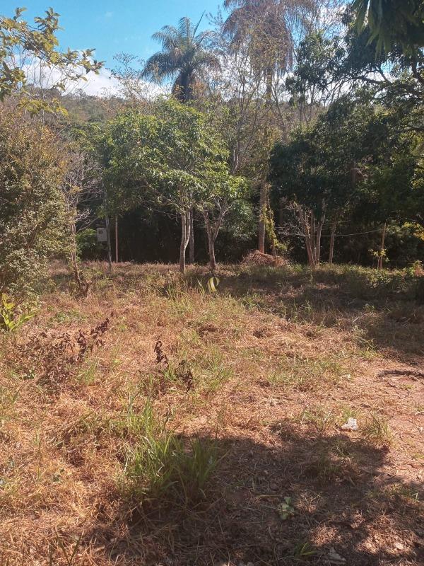 Chácara, 1 quarto, 3826 m² - Foto 19