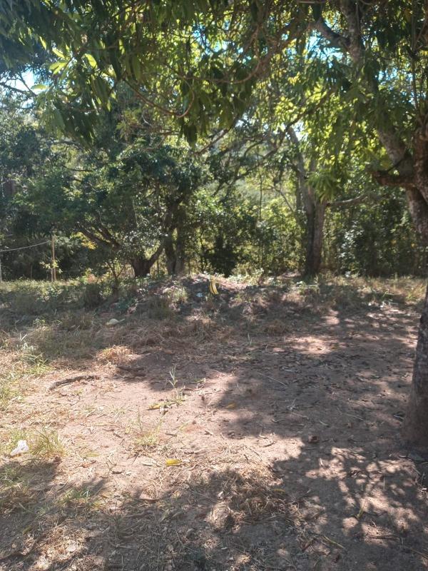 Chácara, 1 quarto, 3826 m² - Foto 18