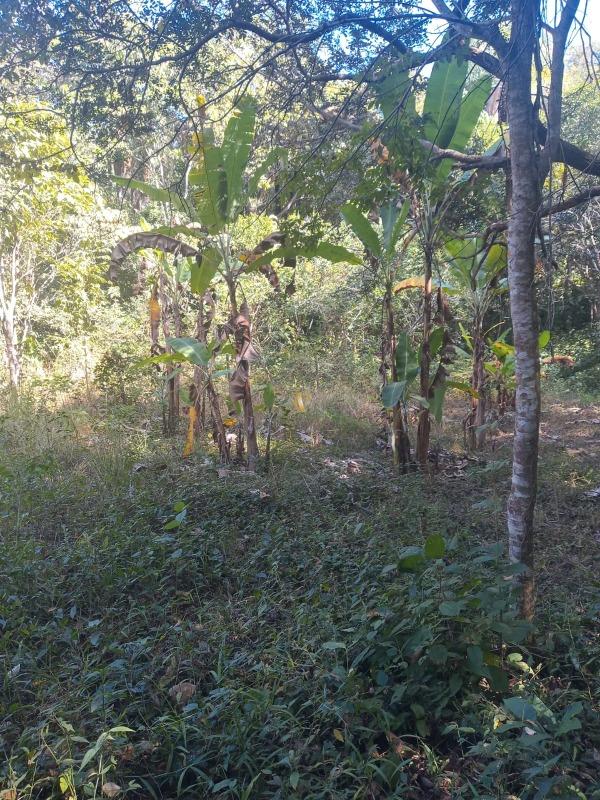 Chácara, 1 quarto, 3826 m² - Foto 25