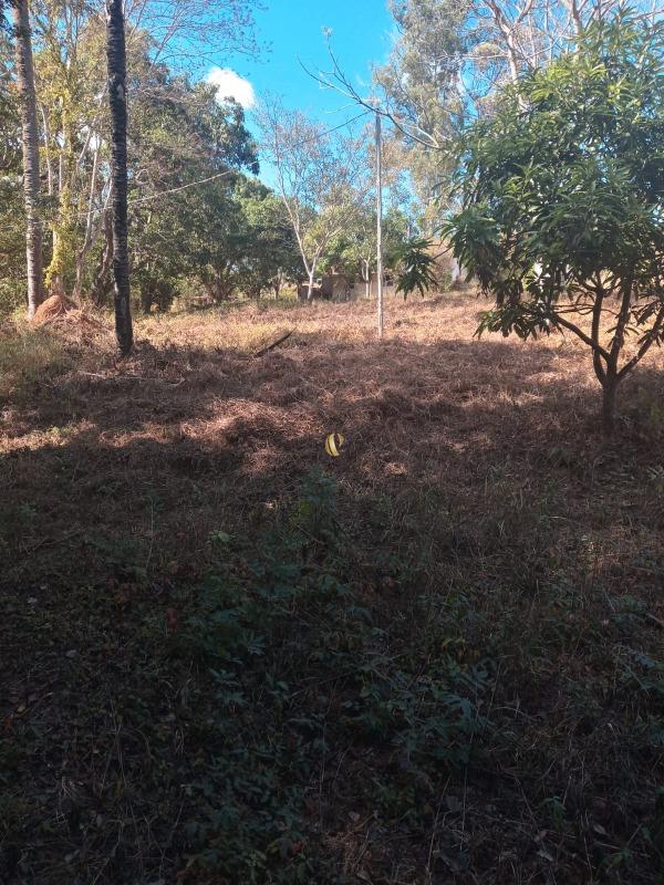 Chácara, 1 quarto, 3826 m² - Foto 21