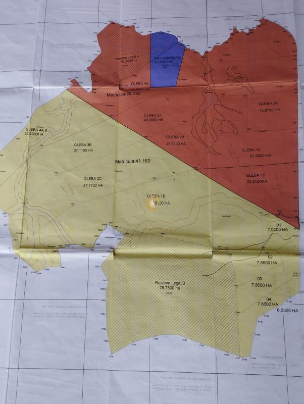 Terreno, 133 hectares - Foto 6