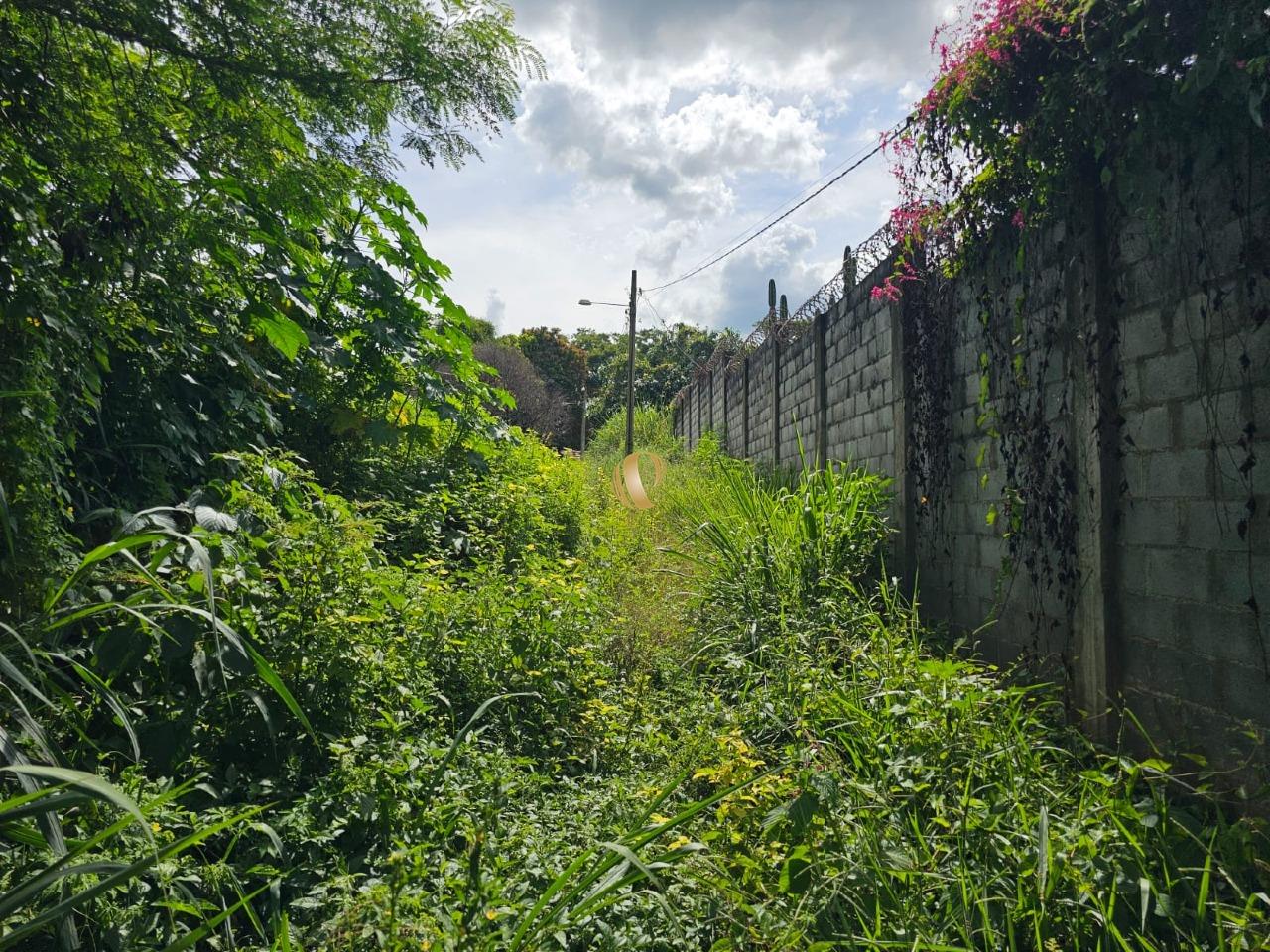 Terreno, 1961 m² - Foto 4