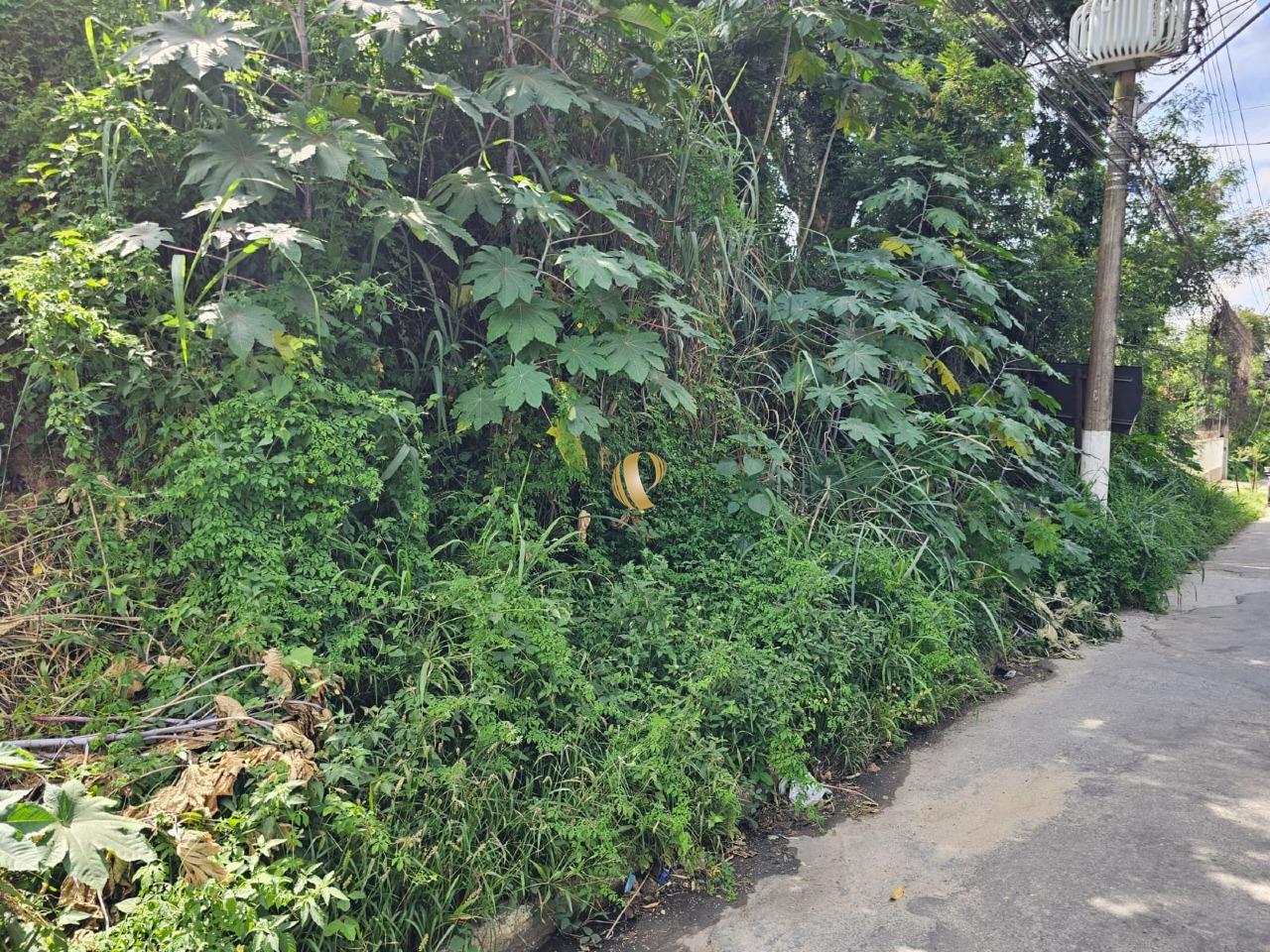 Terreno, 1961 m² - Foto 7