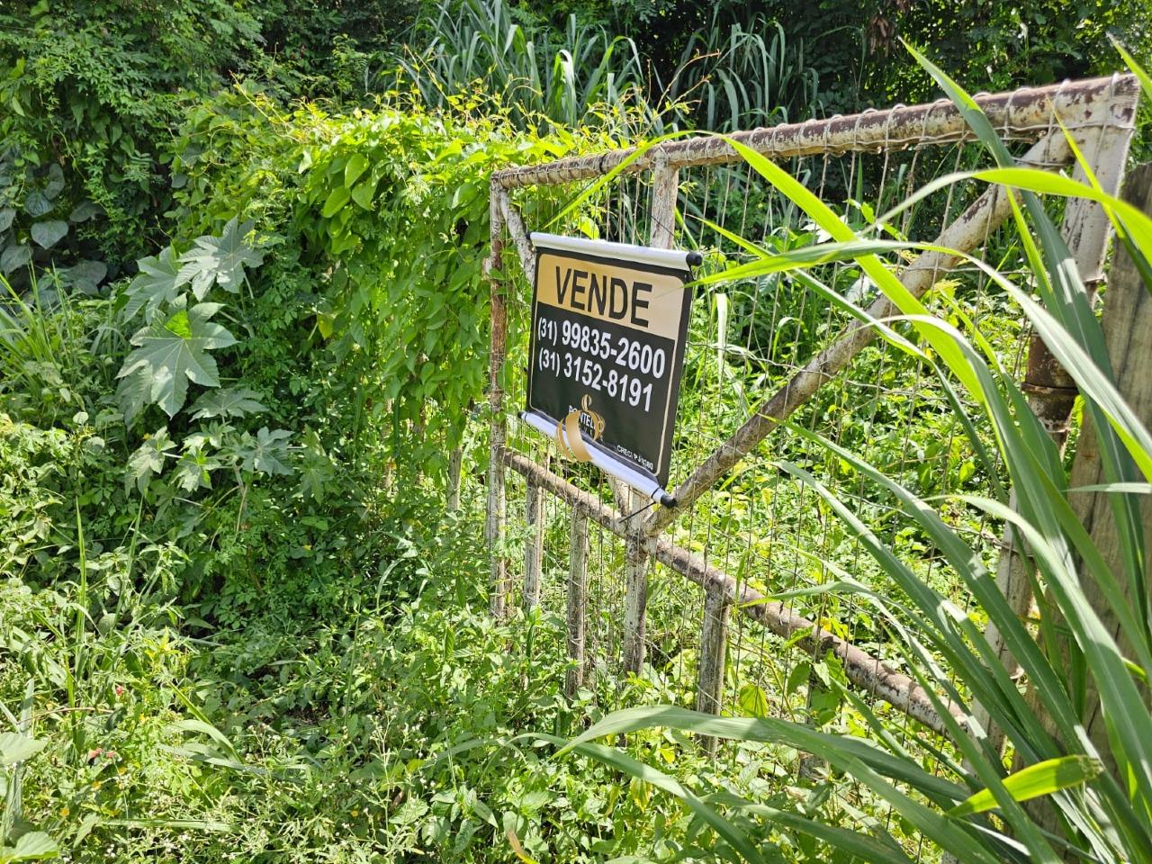 Terreno, 1961 m² - Foto 2