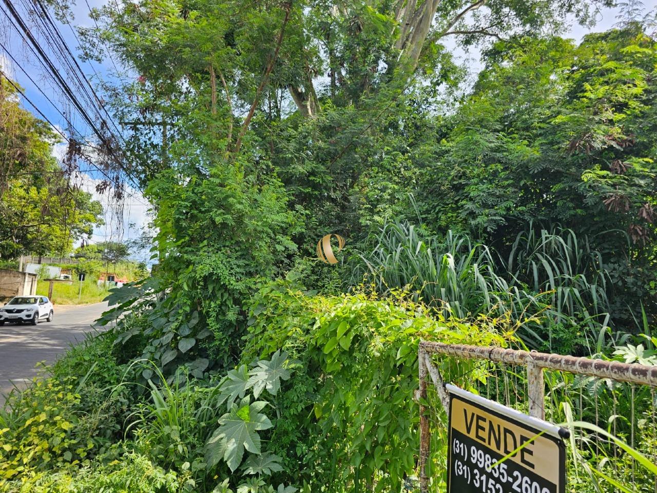 Terreno, 1961 m² - Foto 3