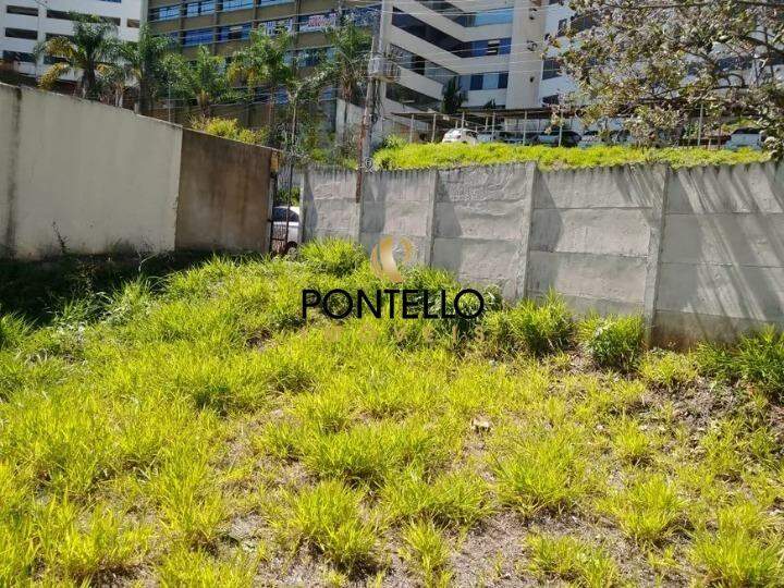 Terreno à venda, 1016m² - Foto 4