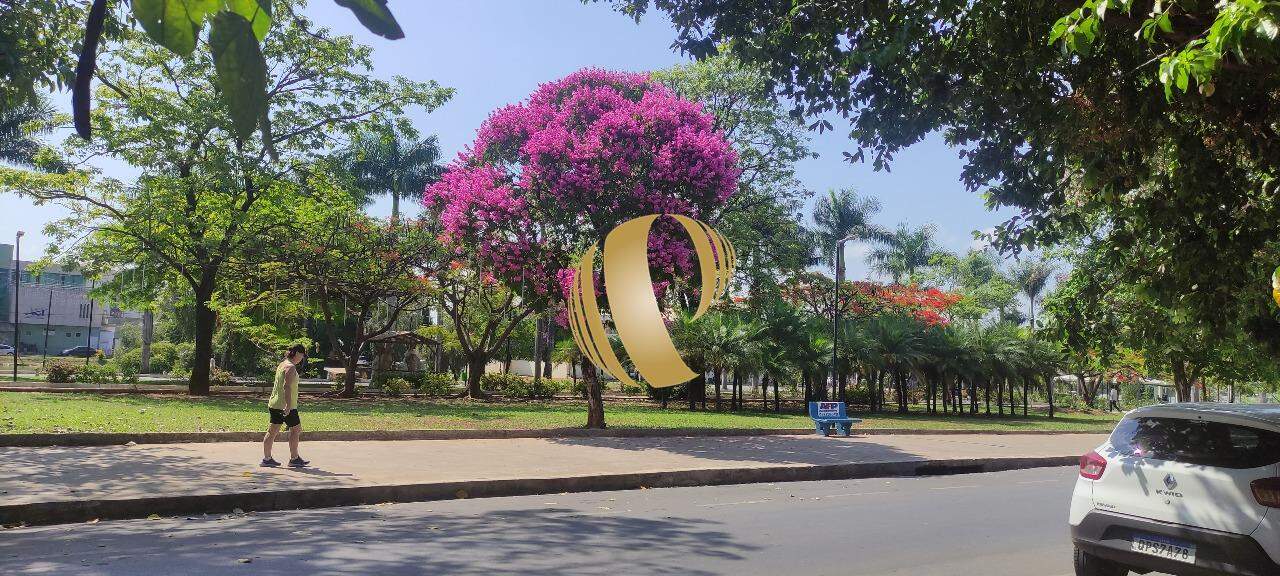 Casa para alugar com 4 quartos, 1469m² - Foto 3