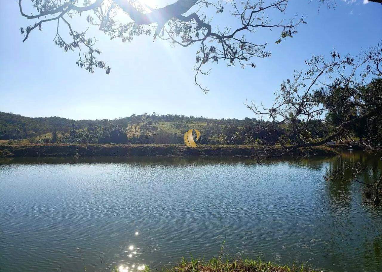 Terreno, 2 hectares - Foto 9